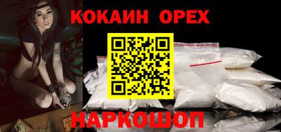 СК Камень-на-Оби