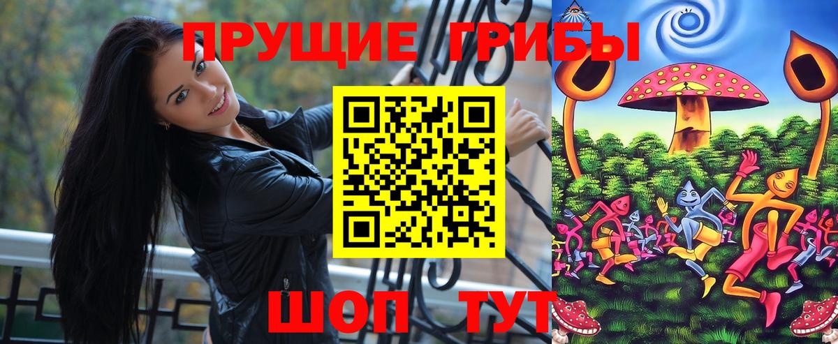 Псилоцибиновые грибы Cubensis Нижнекамск