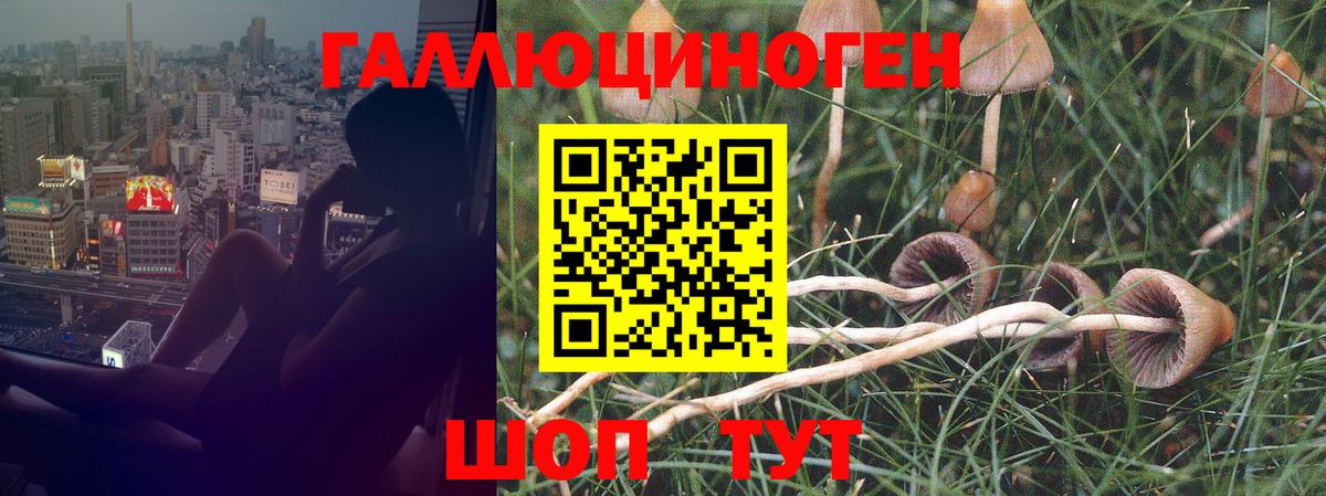 Галлюциногенные грибы мухоморы  Вход с VPN  Нижнекамск 