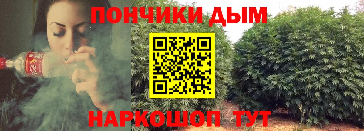 МАРИХУАНА ГИДРОПОН  Каннабис индика  Каннабис планчик  Вход с VPN  Нижнекамск 